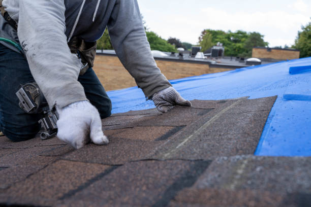 Best Storm Damage Roof Repair  in Gibbstown, NJ