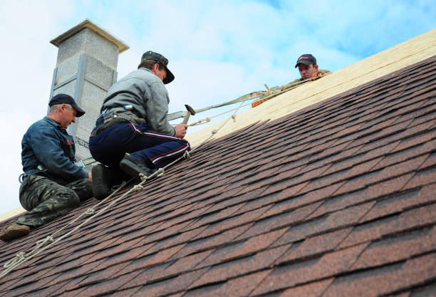 Best Flat Roof Repair Services  in Gibbstown, NJ